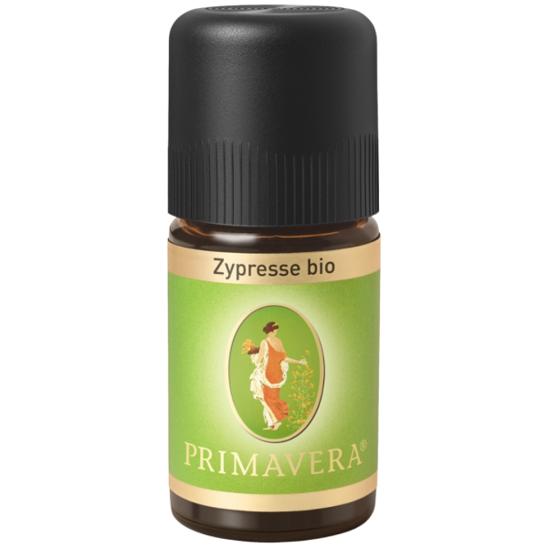 Primavera Zypresse