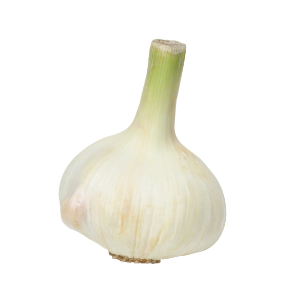 Frischesortiment Økologisk tørret hvidløg Demeter, 500g