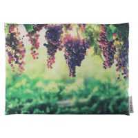 insieme Vindruekernepude insieme Vindruekernepude