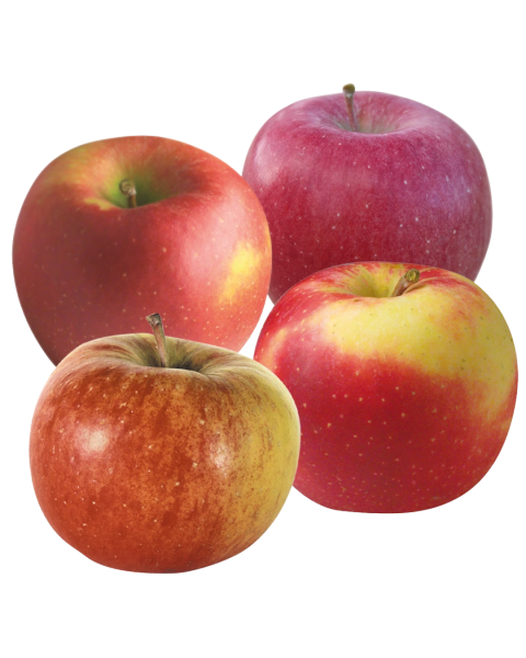 Frischesortiment Augustin Apfel Topaz 4er Packung