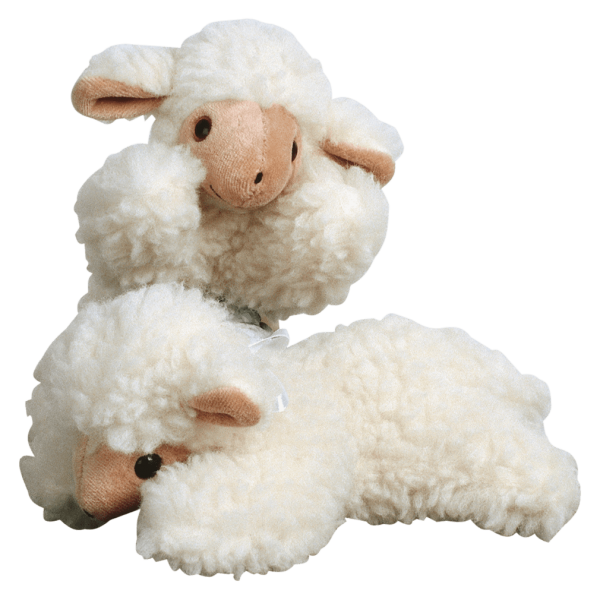 Saling Får uld dyr liggende lam