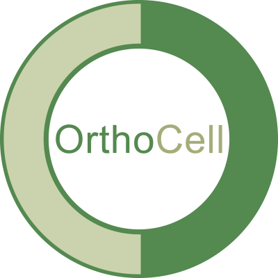 OrthoCell AG