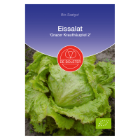 DE Bolster Økologisk Iceberg Salat, Grazer Krauthäuptel 2 DE Bolster Økologisk Iceberg Salat, Grazer Krauthäuptel 2