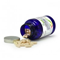 OrthoCell AG Sana Collagen aktiv OrthoCell AG Sana Collagen aktiv