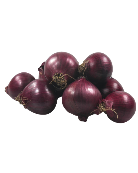 Frischesortiment Zwiebeln rot, 1 kg
