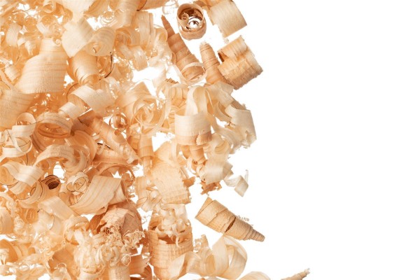 Alpine stone pine træspåner