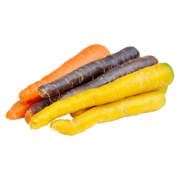Frischesortiment Økologiske regnbue gulerødder, 1 kg