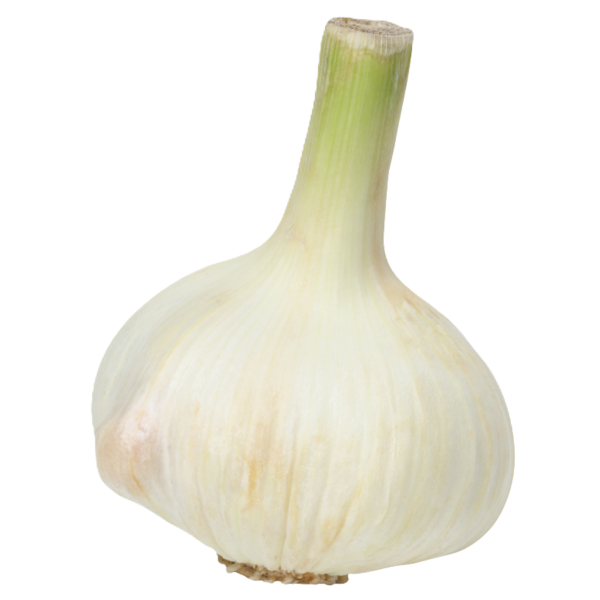 Frischesortiment Økologisk tørret hvidløg Demeter, 500g