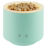 Baldini Aromastream Wood mini grün inkl. Holzkugeln Baldini Aromastream Wood mini grün inkl. Holzkugeln