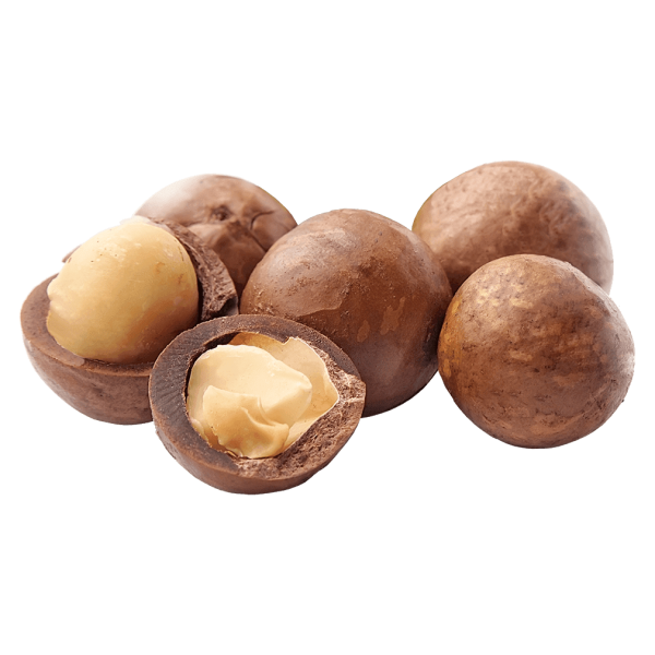 Frischesortiment Økologiske macadamianødder med skal, 1 kg