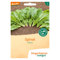 Bingenheimer Saatgut Økologisk spinat Thorin Bingenheimer Saatgut Økologisk spinat Thorin