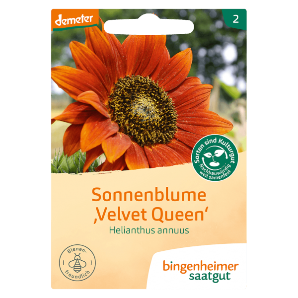 Bingenheimer Saatgut Økologisk solsikke Velvet Queen