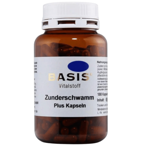 BASIS Zunderschwamm Plus