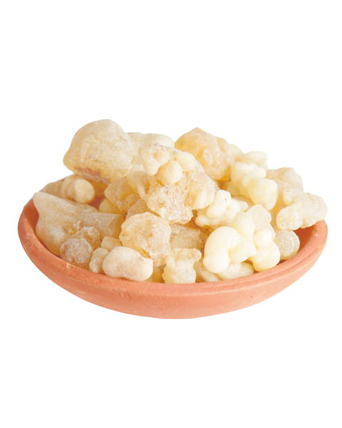 Berk Reine Harze - Olibanum Eritrea, 500 g lose