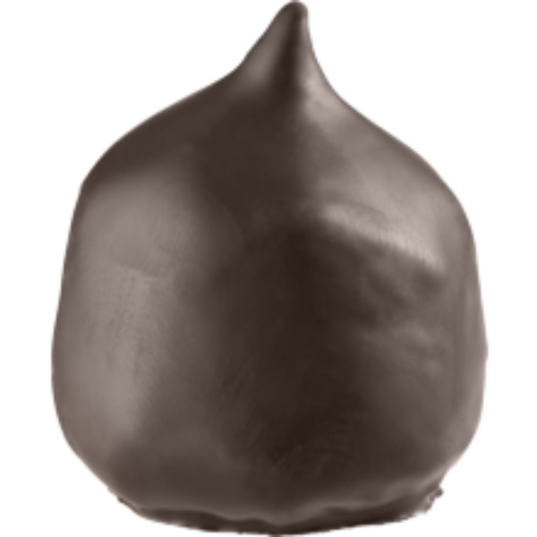 Rosmarin Bio Mozartzipfel