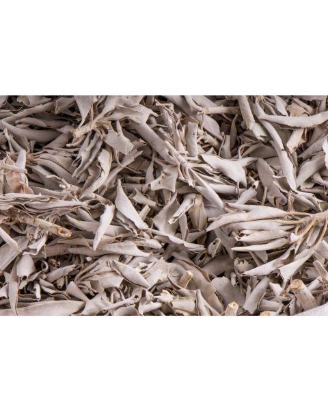 Berk Weißer Salbei, 500 g lose