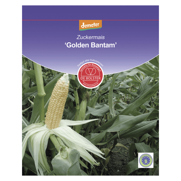 DE Bolster Økologisk sukkermajs, Golden Bantam