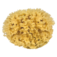 Waldkraft Badeschwamm 11cm Waldkraft Badeschwamm 11cm