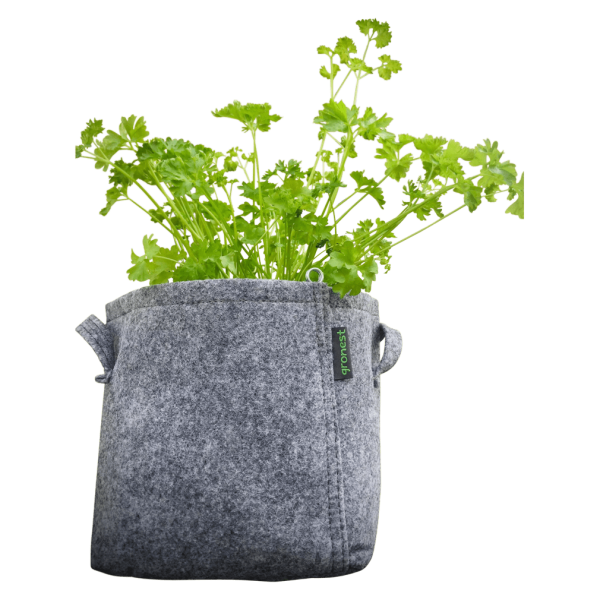 Gronest Urban grøntsagshave 4L økologisk fladbladet persille