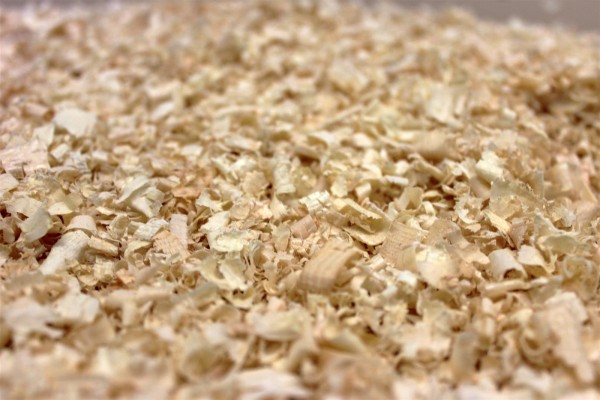 Alpine stone pine træspåner