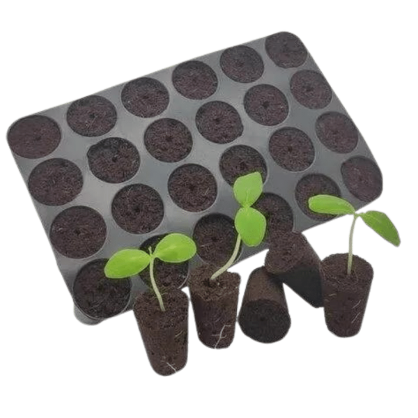 Gronest Grow-Win Plug Seeder, gebrauchsfertige Aussaatschale für Gemüsesamen