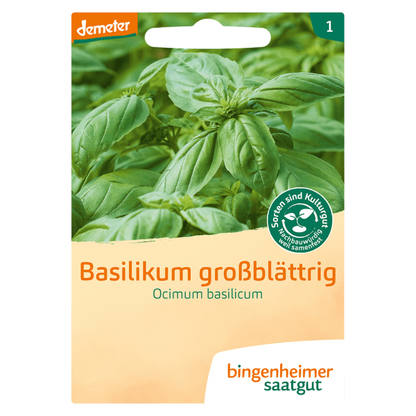 Hvornår Breddegrad mønt Bingenheimer Saatgut Økologisk basilikum storbladet, Ocimum basilicum -  greenist.dk