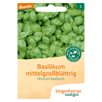 Bingenheimer Saatgut Økologisk basilikum mellemstore store blade Bingenheimer Saatgut Økologisk basilikum mellemstore store blade