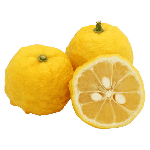 Frischesortiment Økologiske Yuzu citroner, 500g